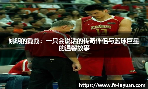 姚明的鹦鹉：一只会说话的传奇伴侣与篮球巨星的温馨故事