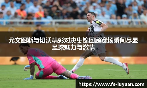 bsports必一体育
